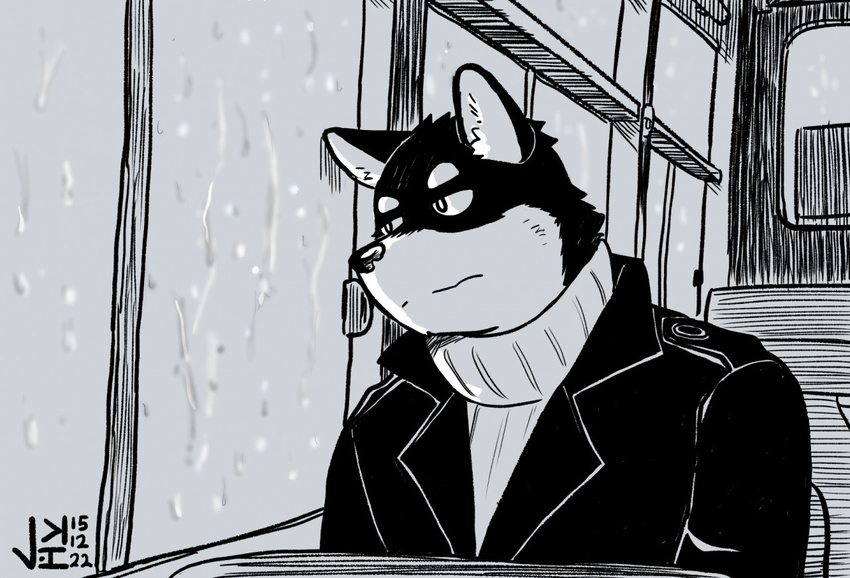 black_and_white bus canine clothing dog jacket jeck male mammal monochrome raining signature sitting solo sweater