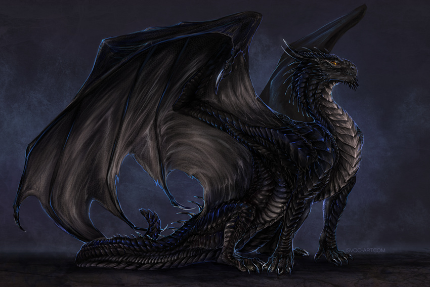 4_fingers 4_toes black_scales claws detailed detailed_scales dragon feral isvoc scales simple_background solo standing tarkustralszar_(character) toes yellow_eyes