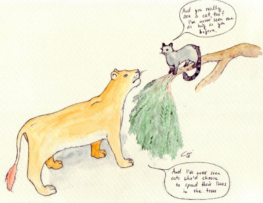 cat comic feline feral forced lion mammal pred prey unbirthing vore