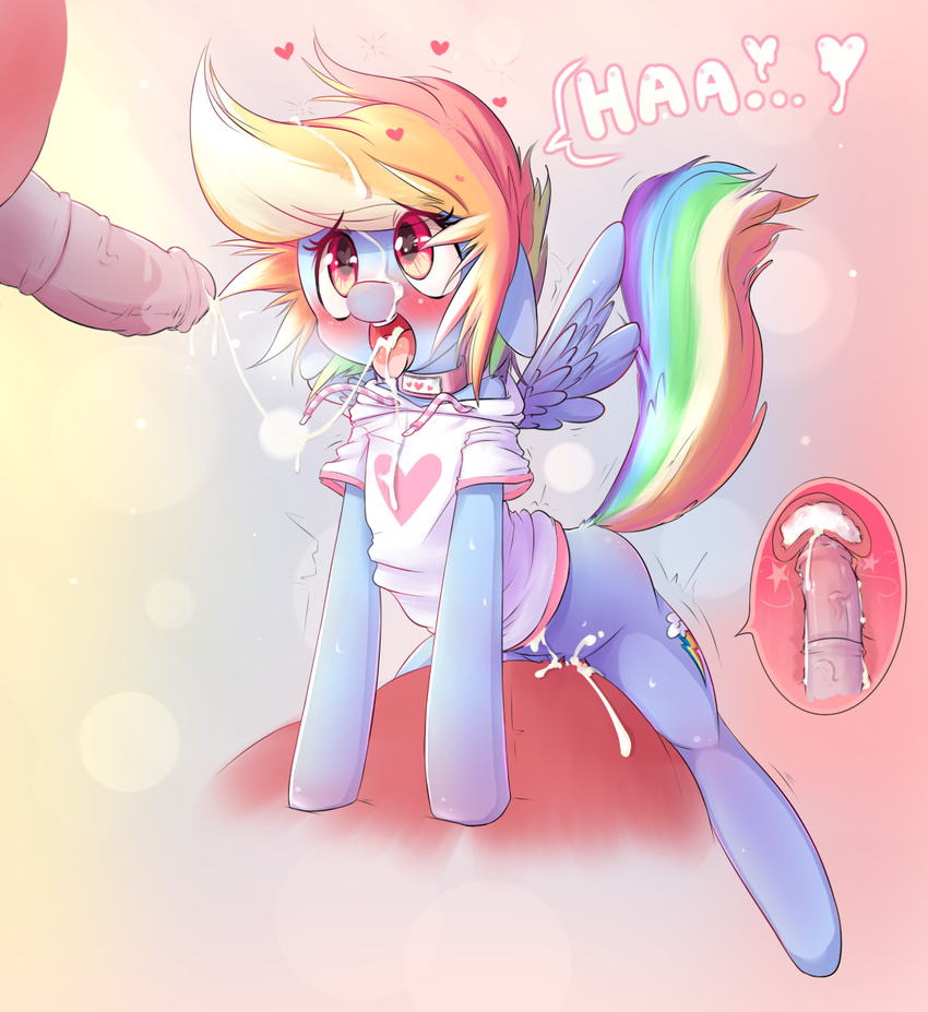 &lt;3 blush clothed clothing collar cum cum_inside cum_on_clothing equine feathered_wings feathers friendship_is_magic hoodie hoodie_(artist) mammal my_little_pony orgasm pegasus penis rainbow_dash_(mlp) wings