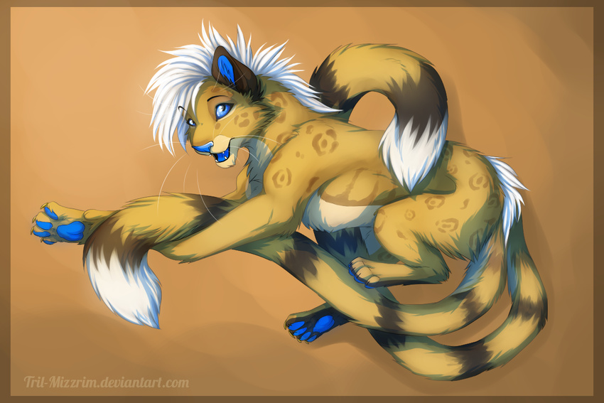 black_lips blue_eyes blue_pawpads blue_tongue cheetah eyebrows feline feral fur hair hindpaw hybrid inner_ear_fluff jaguar mammal nude pawpads paws simple_background solo spots spotted_fur tan_fur teeth tril-mizzrim white_hair