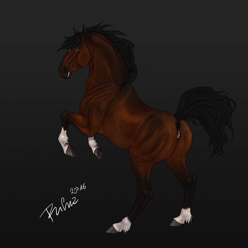 2016 anatomically_correct anatomically_correct_anus anatomically_correct_pussy animal_genitalia animal_pussy anus black_background black_fur blue_eyes brown_fur digital_media_(artwork) equine equine_pussy female feral fur hi_res hooves horse mammal mane multicolored_fur on_hind_legs puffy_anus pussy raised_tail rufciu signature simple_background solo underhoof white_fur