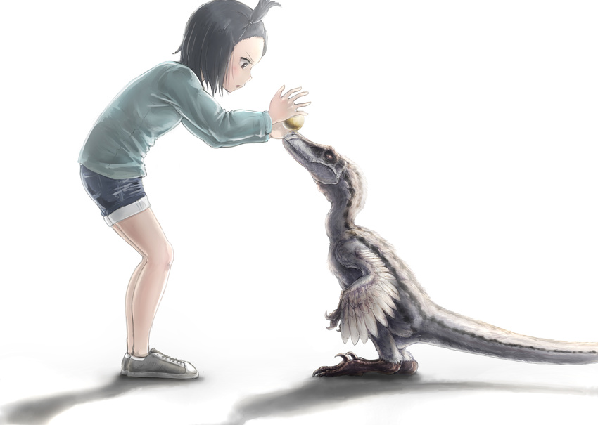 absurdres anachronism ane_(kamemaru) black_hair blue_shorts dinosaur feathered_dinosaur feathered_wings full_body green_shirt hair_ornament highres kamemaru one_side_up original shirt short_hair shorts simple_background velociraptor white_background wings