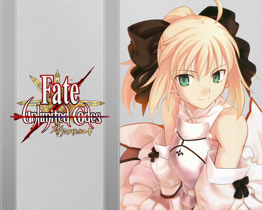 fate/stay_night fate/unlimited_codes saber saber_lily tagme