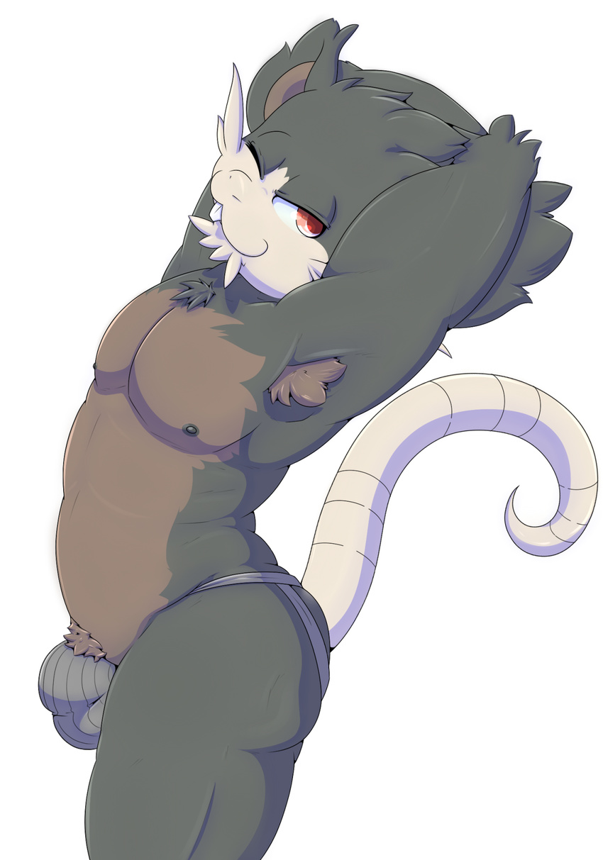 alolan_rattata anthro anthrofied arched_back armpit_hair buckteeth bulge clothed clothing high-angle_view jockstrap looking_at_viewer mammal nipples one_eye_closed otto0ttsy pecs pinup pose pubes raised_arm rodent teeth topless underwear whiskers wink