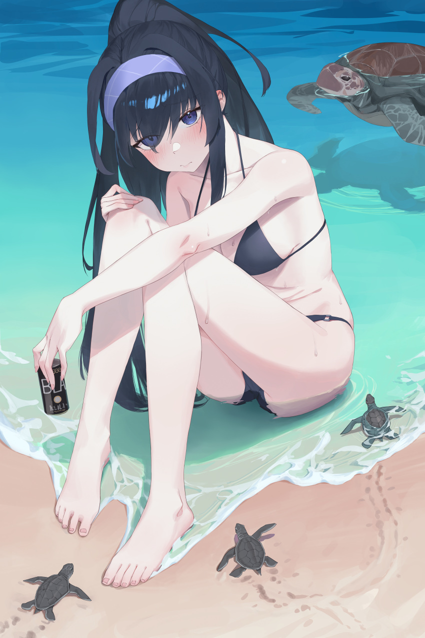 1girl absurdres animal ass bare_arms bare_legs bare_shoulders barefoot beach bikini black_bikini black_hair blue_archive blue_eyes blue_hairband blush breasts closed_mouth collarbone hairband highres long_hair ocean official_alternate_costume ponytail rikuhito_juusan shore small_breasts solo swimsuit toes turtle ui_(blue_archive) ui_(swimsuit)_(blue_archive) wet