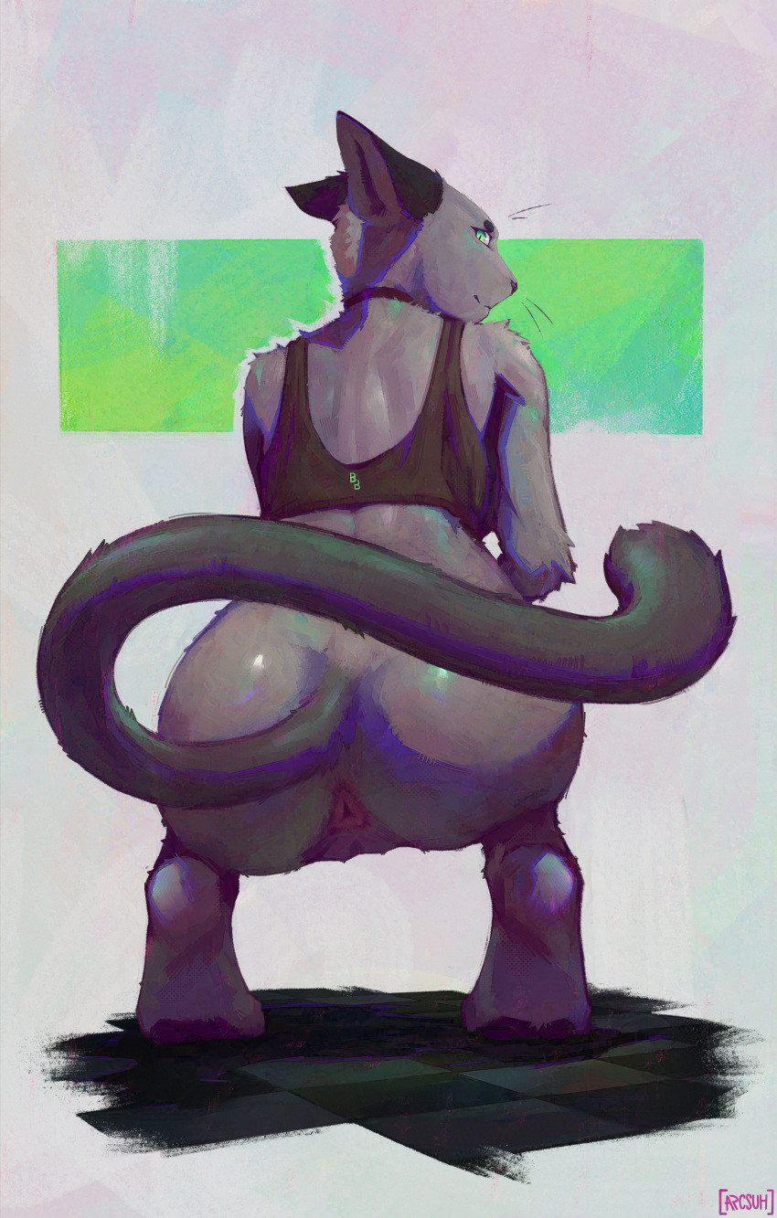 absurd_res anthro anus arcsuh beat_banger big_butt bunfan_games butt butt_focus cathy_smith clothed clothing crouching digital_media_(artwork) digital_painting_(artwork) domestic_cat felid feline felis female fur genitals hi_res huge_butt looking_back mammal nude partially_clothed pawpads paws presenting presenting_hindquarters pussy rear_view simple_background smile solo tail