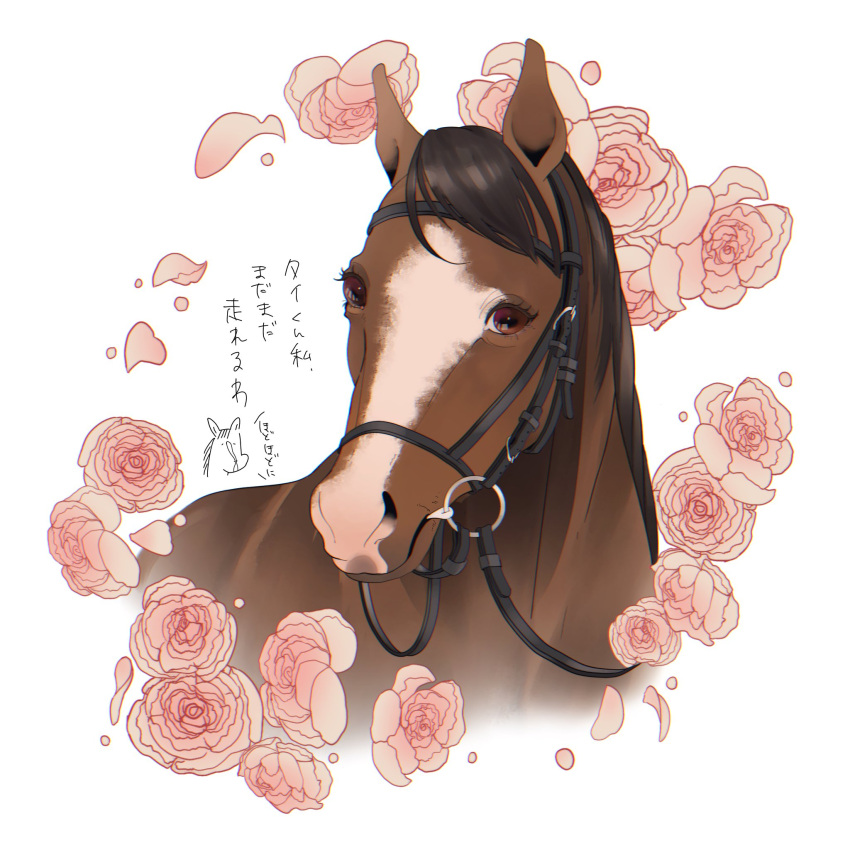 akiyama1107 bridle camellia commentary flower flower_border highres horse melody_lane_(racehorse) no_humans real_life reins titleholder_(racehorse) translated white_background