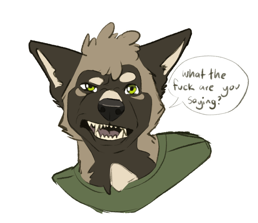 absurd_res anthro brown brown_body brown_fur canid canine clothing curled_hair dialogue expressions fur fur_markings green_eyes hair hi_res male mammal markings profanity sambles shirt solo speech_bubble t-shirt teeth teeth_showing topwear