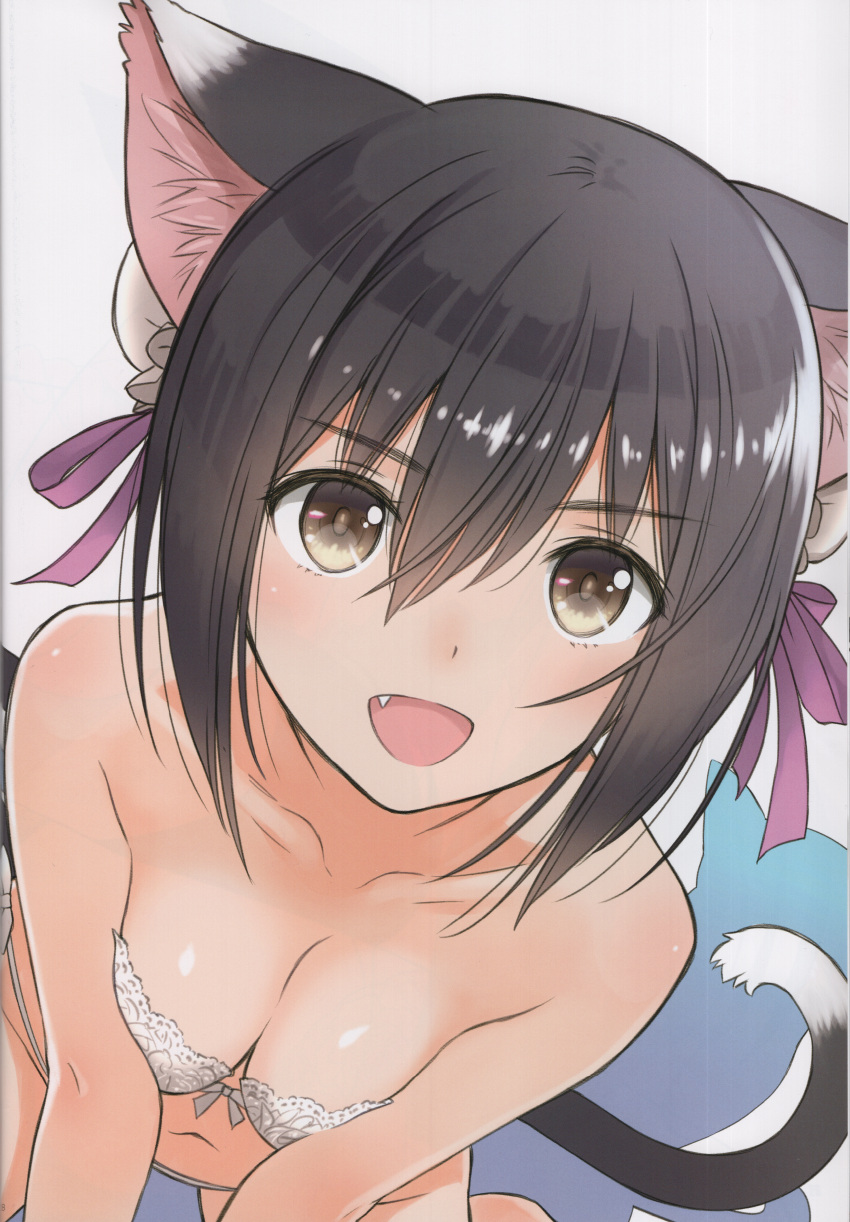 1girl absurdres animal_ears bare_shoulders black_hair breasts brown_eyes bun_cover cat_ears cat_girl cat_tail collarbone double_bun fang hair_bun hair_ornament highres looking_at_viewer navel open_mouth ribbon scan shaomei_rin shining_(series) shining_hearts shiny_skin short_hair simple_background small_breasts smile solo stomach tail tony_taka white_background