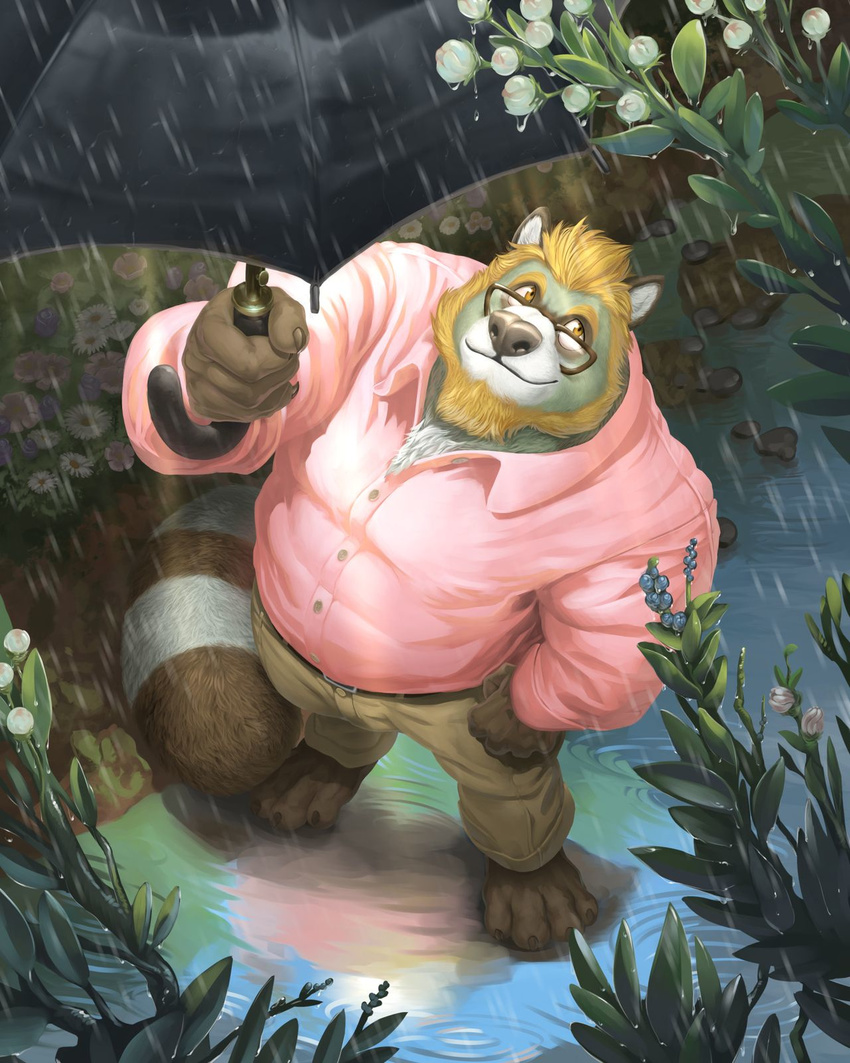 2016 4_toes alpha0 anthro barefoot beard belt black_nose blonde_hair brown_fur brown_tail claws clothed clothing eyewear facial_hair flower fluffy fluffy_tail fur glasses green_fur hair hi_res high-angle_view holding_object looking_up male mammal multicolored_fur pants plant raining ringed_tail shirt solo tanuki toe_claws toes two_tone_tail umbrella water white_fur white_tail yellow_eyes