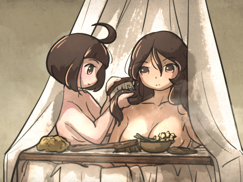2girls ahoge ahoge_page_(ironlily) bowl breasts brown_hair brushing_another's_hair brushing_hair cleavage curtains highres ironlily lady_lucerne_(ironlily) long_hair multiple_girls nude ordo_mediare_sisters_(ironlily) short_hair steam wet
