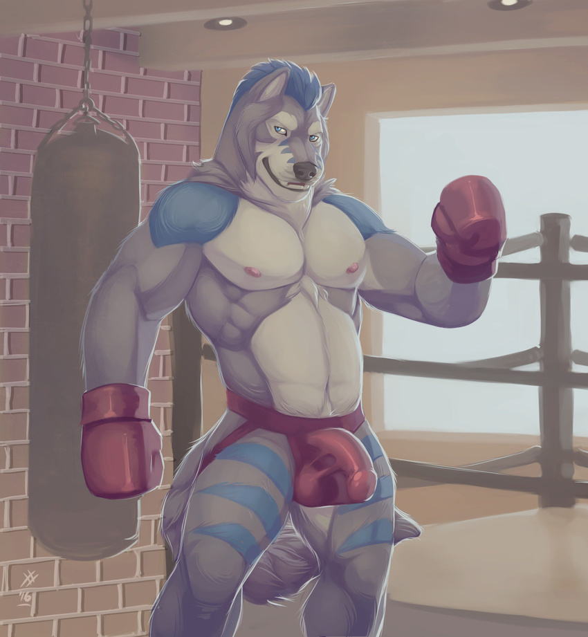 2016 anthro biceps black_nose blue_eyes blue_fur blue_hair boxing_gloves bulge canine clothed clothing erection frostwolf fur grey_fur hair inside jockstrap looking_at_viewer male mammal multicolored_fur muscular muscular_male navel nipples penis_outline raised_arm rrowdybeast smile solo standing teeth topless underwear white_fur wolf