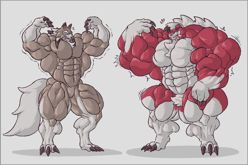 2016 3_fingers 3_toes abs armpits biceps big_biceps big_tail black_claws black_nose blue_eyes border brown_fur canine cheek_tuft chest_tuft claws colored digitigrade flexing fluffy fluffy_tail front_view fur hair hyper hyper_muscles light lycanroc male mammal manly midday_lycanroc midnight_lycanroc multicolored_fur muscular muscular_male nintendo nude obliques open_frown pecs pink_sclera pink_tongue pok&eacute;mon pose red_fur schwartzgeist serratus shaded simple_background standing toes tongue tongue_out toony tuft two_tone_fur video_games were werewolf white_background white_eyes white_fur white_hair wolf