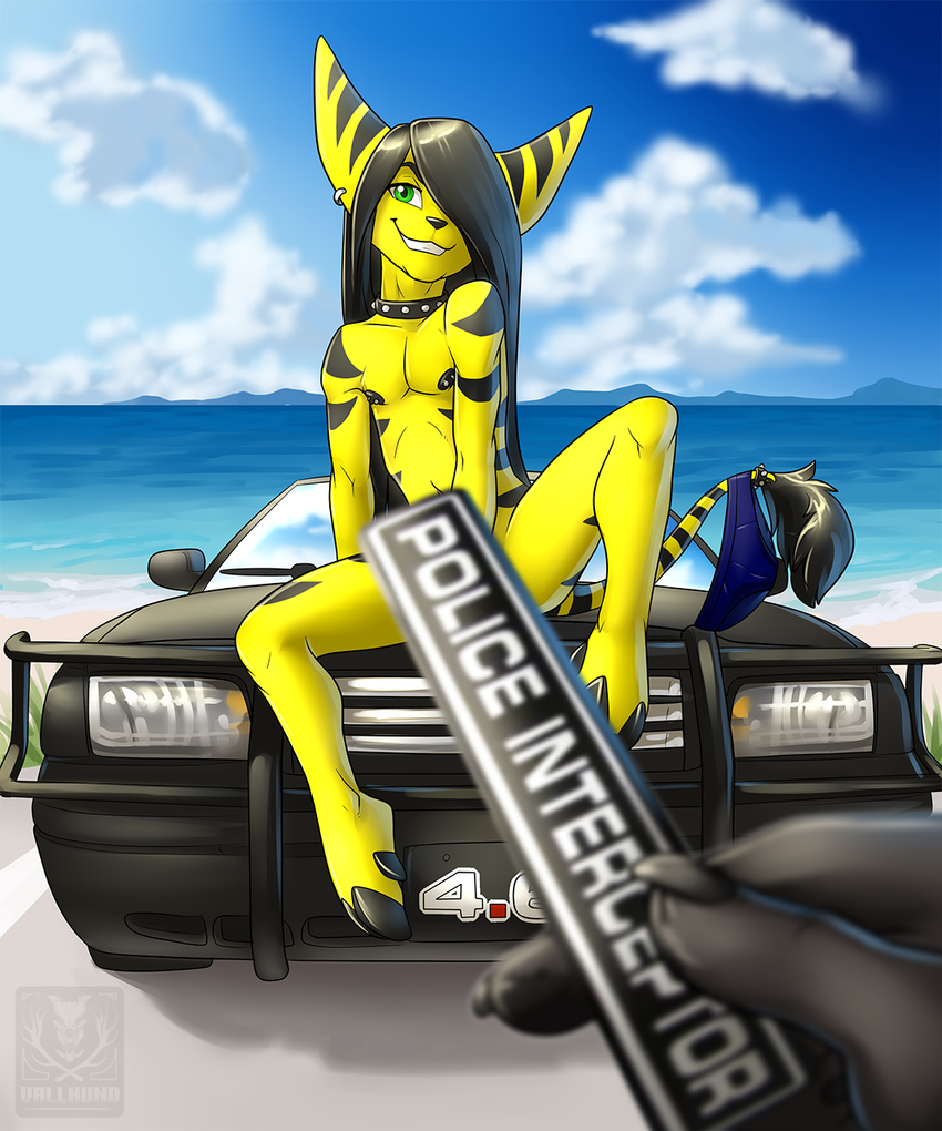 2016 beach black_hair car censored clothing collar digital_media_(artwork) ear_piercing eric_(ericthelombax) ford girly green_eyes hair hair_over_eye lombax long_hair male nipple_piercing nipples nude piercing police_car ratchet_and_clank sea seaside smile speedo spiked_collar spikes swimsuit vallhund vehicle video_games water