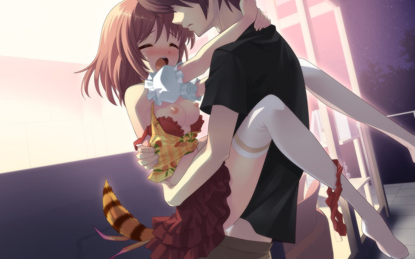 1boy 1girl areolae blush breasts brown_hair clothed_sex cum cum_in_pussy eyes_closed flyable_heart game_cg held_up hetero hug inaba_yui night nipples open_mouth outdoors panties panties_around_leg raccoon_tail red_panties sex short_hair small_breasts standing tail thighhighs underwear unisonshift vaginal white_legwear white_thighhighs