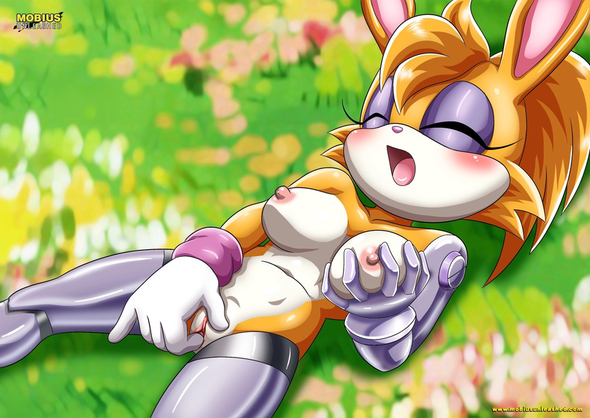 blush breast_grab breasts bunnie_rabbot eyelashes eyes_closed female fingering hand_on_breast hi_res lagomorph lying mammal masturbation meadow moan mobius_unleashed nipples nude on_back outside palcomix pussy rabbit solo sonic_(series) spread_legs spreading tagme