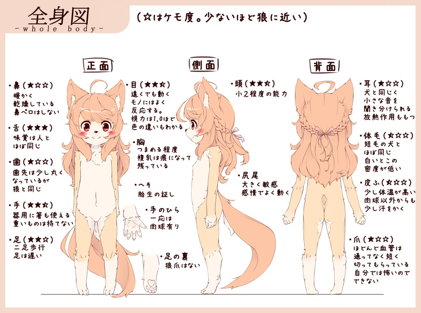anthro bd_collie blush canine claws dog female flat_chested japanese_text kemono mammal model_sheet pawpads red_eyes text tuft young