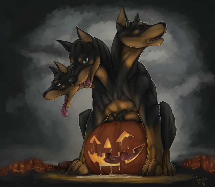 2016 anatomically_correct anatomically_correct_penis animal_genitalia animal_penis blue_eyes canine canine_penis cerberus cum doberman dog feral food fruit green_eyes halloween heterochromia hi_res holidays jack_o'_lantern knot looking_at_viewer male mammal multi_head open_mouth pattarchus penis pumpkin solo tochka tongue tongue_out