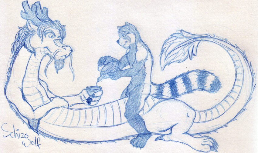 animal_genitalia anthro beverage claws dragon duo eastern_dragon facial_hair goatee horn male mammal nude red_panda schizowolf sheath sketch smile tea whiskers zuki_(character)