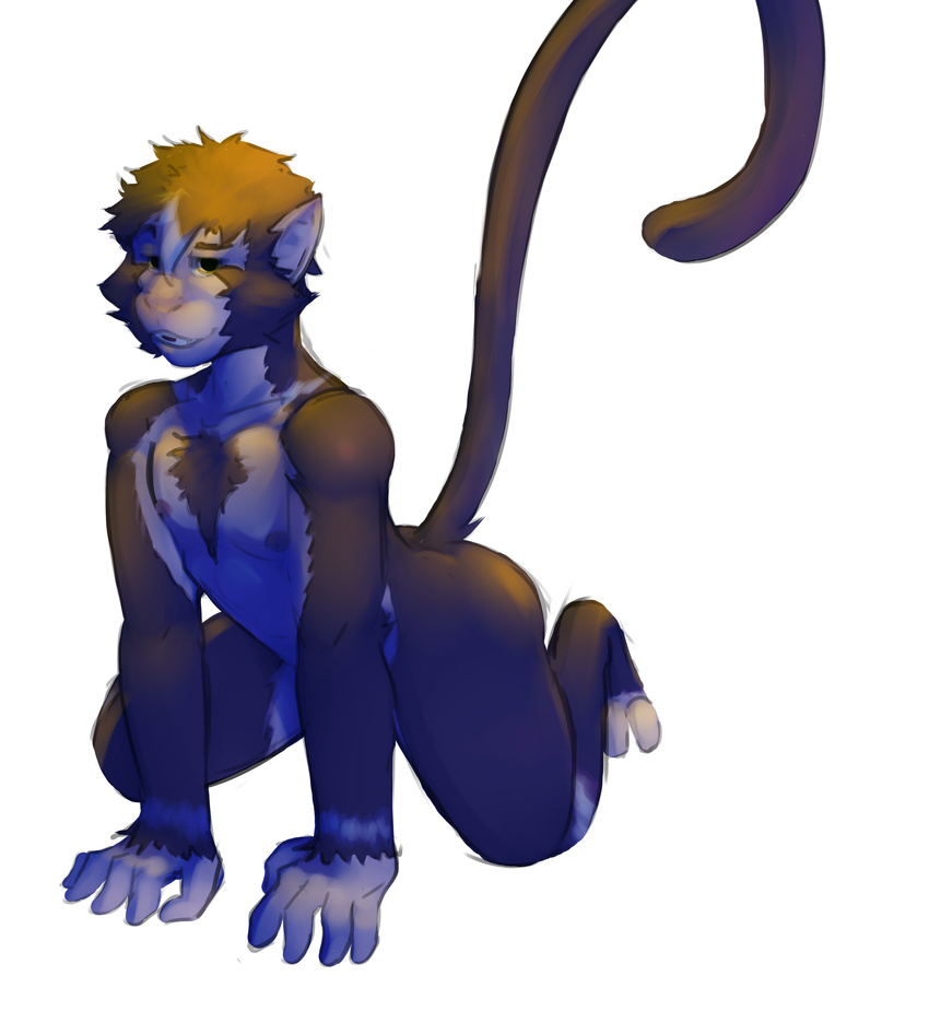 athletic bedroom_eyes convenient_censorship front_view furfit half-closed_eyes kneeling leaning leaning_forward long_tail looking_at_viewer male mammal monkey nipples nude pecs primate seductive
