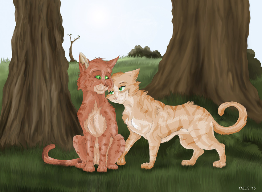 2015 cat cute faelis feline feral firestar_(warriors) fluffy fur grass green_eyes mammal orange_fur romantic_couple sandstorm_(warriors) smile stripes tree warriors_(cats)