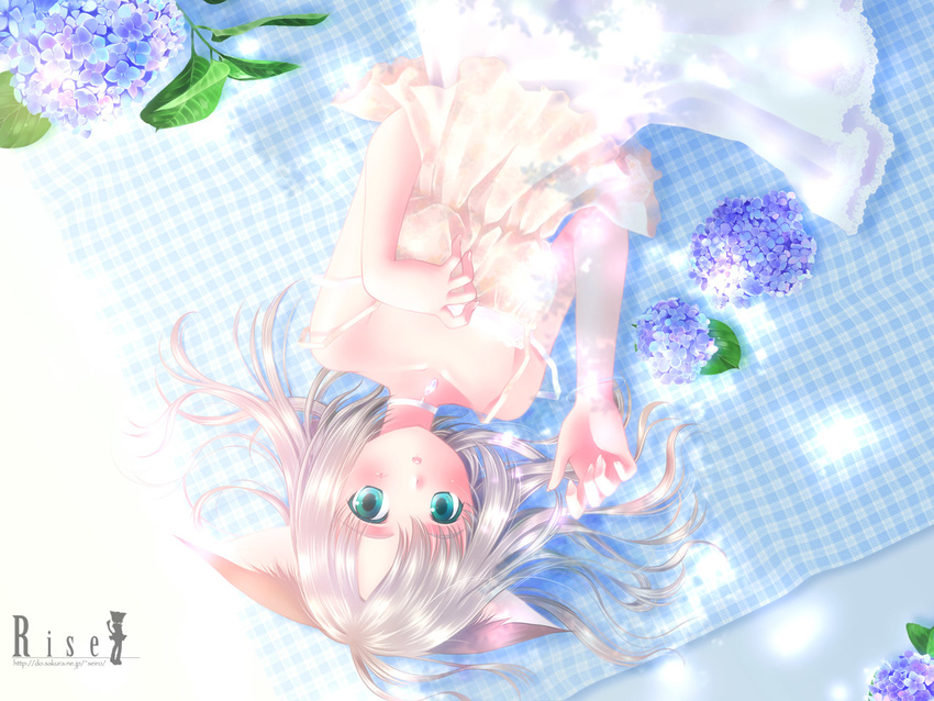 animal_ears aqua_eyes blonde_hair camisole cat_ears collar copyright_request expressionless flower hand_on_own_chest hydrangea jewelry light looking_at_viewer lying pendant plaid shadow short_hair skirt solo touto_seiro upside-down wallpaper
