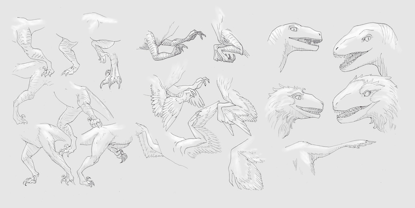 9x9 ambiguous_gender black_and_white claws dinosaur feathers feral green_eyes monochrome raptor running simple_background theropod walking wings
