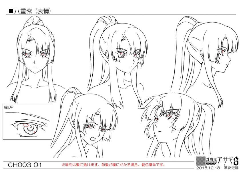 1girl character_sheet dated female kagami_hirotaka lilith-soft long_hair monochrome ponytail taimanin_asagi yatsu_murasaki