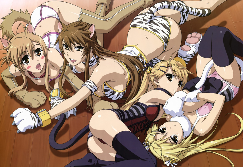 :&lt; :p absurdres ahoge all_fours animal_ears animal_print ass back bell between_thighs black_legwear blonde_hair blush blush_stickers breasts brown_eyes brown_hair brown_legwear cat_ears cat_paws cat_tail choker claws cleavage collar elbow_gloves flat_chest gloves hair_bell hair_ornament hairclip highres hug in_heat jingle_bell kirishima_akari kirishima_kotone large_breasts legs legs_up lingerie long_hair lying mizuno_kaede mole mole_under_eye morita_kazuaki multiple_girls non-web_source nyan_koi! nyantype official_art on_back on_side open_mouth panties paws ponytail round_teeth scan siblings sideboob sisters smile striped sumiyoshi_kanako tail teeth thighhighs tiger_print tongue tongue_out twins twintails underwear white_panties