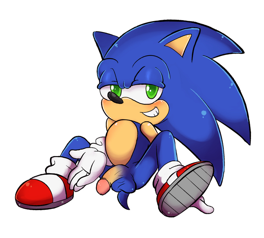 alpha_channel animal_humanoid anthro balls bunonii butt cat_humanoid clothing feline footwear gloves hedgehog humanoid looking_at_viewer male mammal nude penis quills shoes simple_background sitting smile solo sonic_(series) sonic_the_hedgehog sonictopfan spread_legs spreading transparent_background video_games