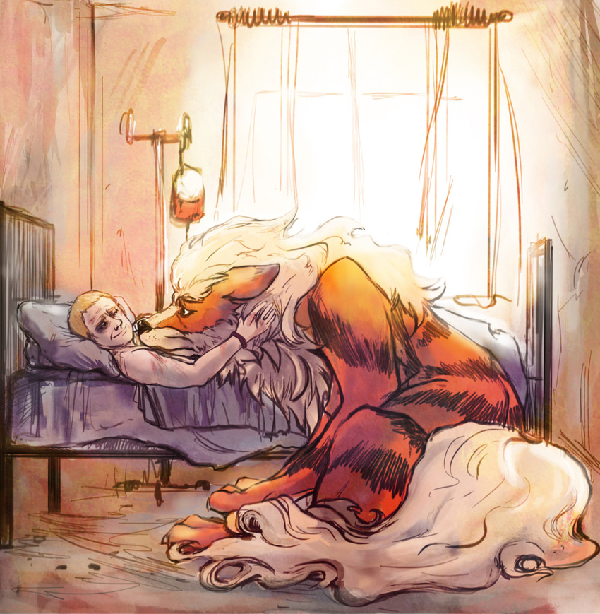 aiwa-sensei ambiguous_gender arcanine bed beige_skin black_fur blonde_hair bruised_eye canine duo fur hair human inside iv john_watson male mammal nintendo orange_fur pok&eacute;mon sad smile video_games white_fur window