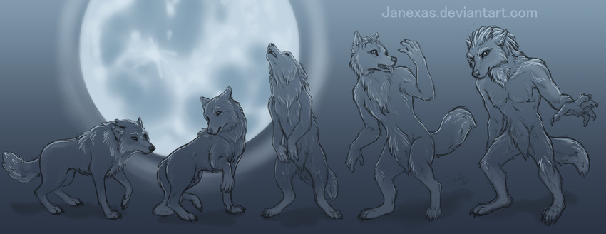 anthro black_nose canine claws feral feral_to_anthro full_moon fur lylas male mammal moon sequence transformation wolf