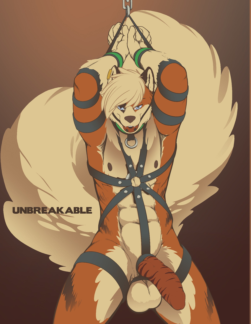 2015 5_fingers abs absurd_res anthro arcanine armpits ball_gag balls bdsm big_balls black_nipples black_nose blue_eyes body_harness bondage bound breathable_gag brown_penis cheek_tuft chest_tuft collar countershading english_text eyebrows fangs front_view fur gag gagged glans gradient_background hair half-closed_eyes half-erect hands_above_head harness hi_res huge_tail hybrid_penis inner_ear_fluff knot leather_cuffs leather_harness looking_at_viewer male mammal multicolored_fur muscular naughty_face nintendo nipples nude orange_fur penis piercing pok&eacute;mon portrait rethex shiuk short_hair simple_background solo standing straps striped_fur striped_penis stripes submissive text three-quarter_portrait tuft two_tone_fur video_games white_fur white_hair white_tail wrist_cuff