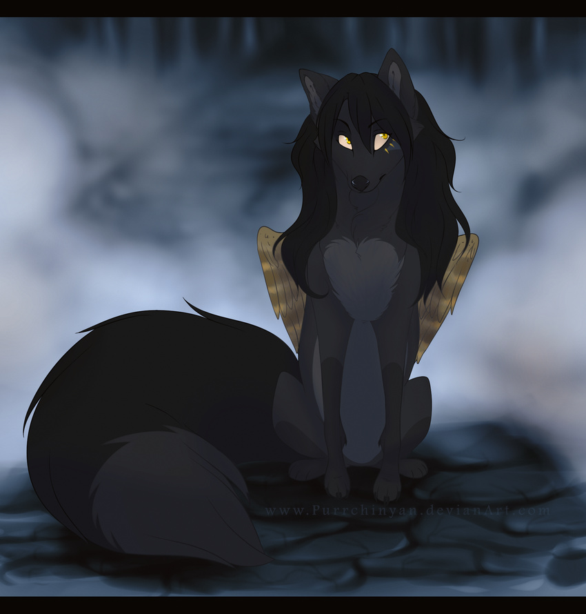 black_bars black_fur black_hair black_nose blurred_background canine fox fur grey_fur hair mammal paws purrchinyan solo yellow_eyes