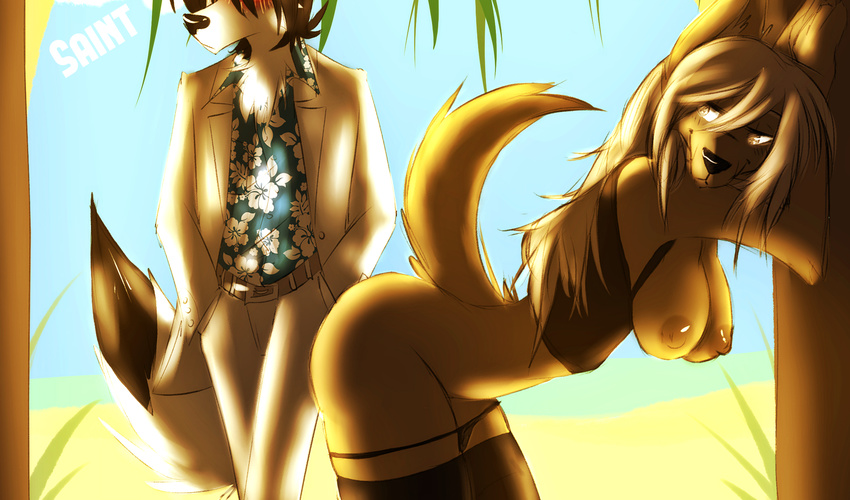 beach breasts butt canine dog mammal saintversa seaside