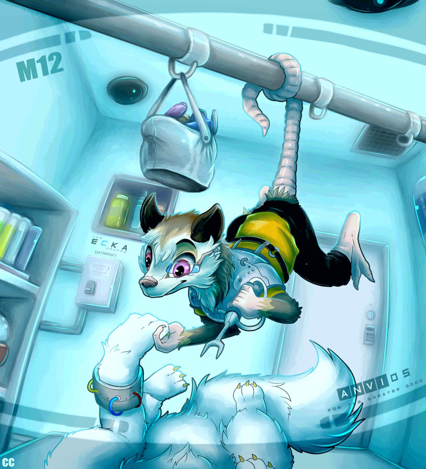 ambiguous_gender anthro canine chibity detailed_background duo featureless_crotch feral first_person_view fur futuristic hanging_by_tail hi_res inside lying male mammal marsupial on_back opossum pink_eyes repair scouter technology tools white_fur