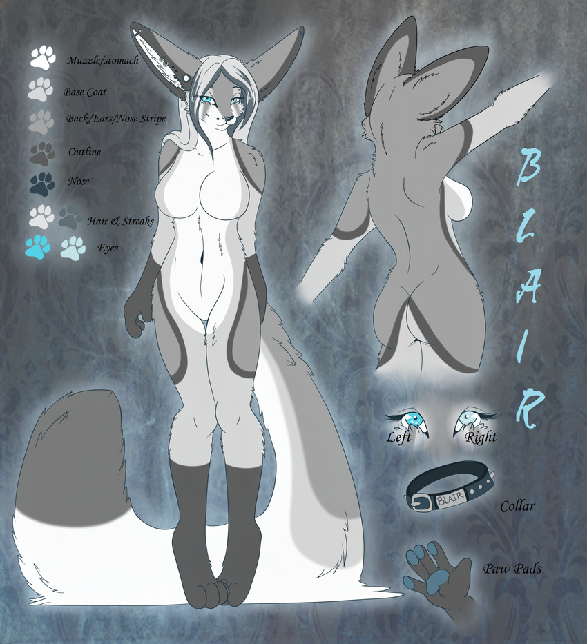 5_fingers aimi anthro bare_back blair_(aimi) blue_eyes breasts featureless_breasts featureless_crotch female fur grey_fur heterochromia model_sheet navel nude smile solo standing white_fur wide_hips