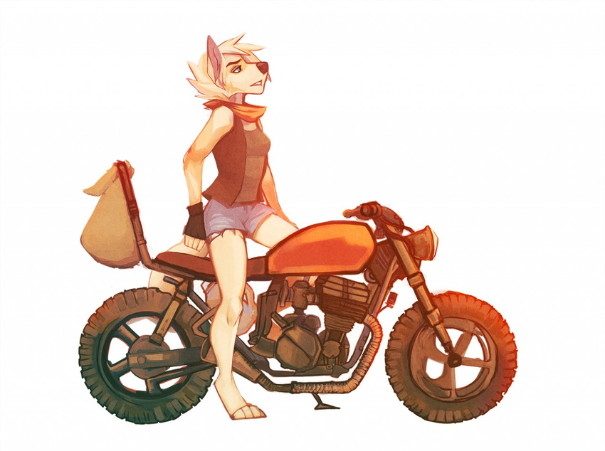 4_toes 5_fingers anthro black_nose blue_eyes canine clothed clothing cyndi cyndi_(character) digitigrade eyebrows eyelashes female fingerless_gloves fur gloves hair mammal motorcycle simple_background smile standing toes vehicle white_background white_fur white_hair wolf