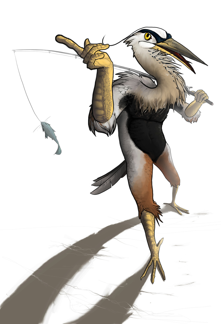 2011 ambiguous_gender anisodactyle anthro avian beak bird bombird featureless_crotch fish fishing_rod great_blue_heron henji heron marine simple_background solo tongue yellow_eyes