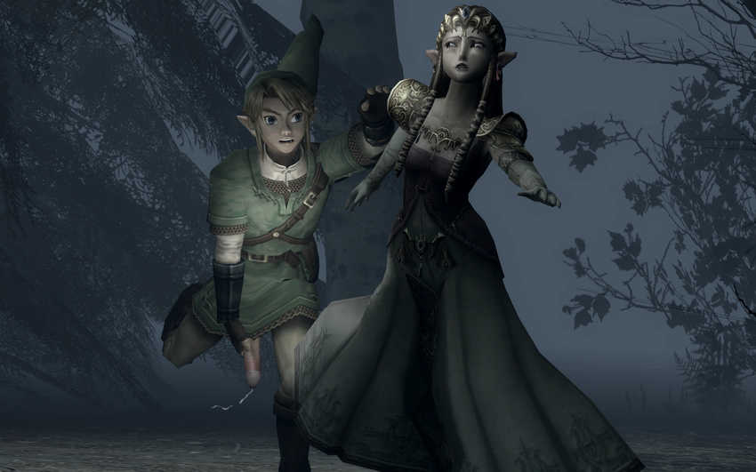 legend_of_zelda link princess_zelda tagme twilight_princess