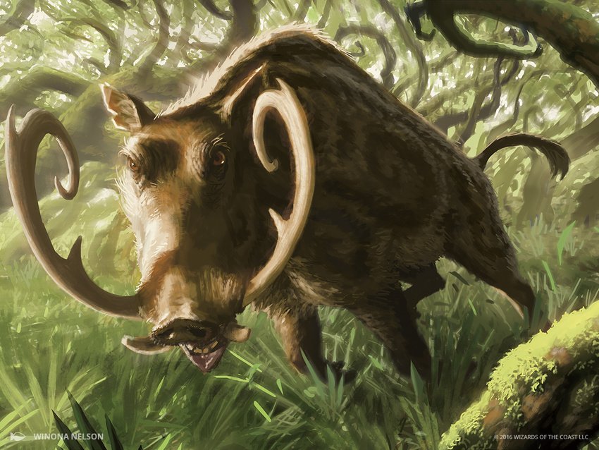 ambiguous_gender backlit boar charging feral forest landscape looking_at_viewer magic_the_gathering mammal official_art outside porcine quadruped solo tree tusks winona_nelson