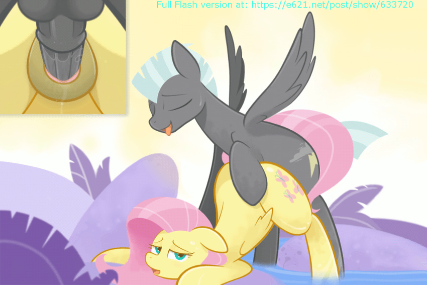 2015 animated backsack balls black_feathers black_fur braddo clitoral_winking clitoris close-up cum cum_in_pussy cum_inside cutie_mark dripping duo equine eyes_closed feathered_wings feathers female feral fluttershy_(mlp) friendship_is_magic fur hair htpot long_hair looking_at_viewer male male/female mammal multicolored_hair my_little_pony open_mouth orgasm pegasus penetration penis pink_hair pussy pussy_juice rear_view sex sound sweat thunderlane_(mlp) tongue tongue_out two_tone_hair vaginal vaginal_penetration water wings yellow_feathers yellow_fur