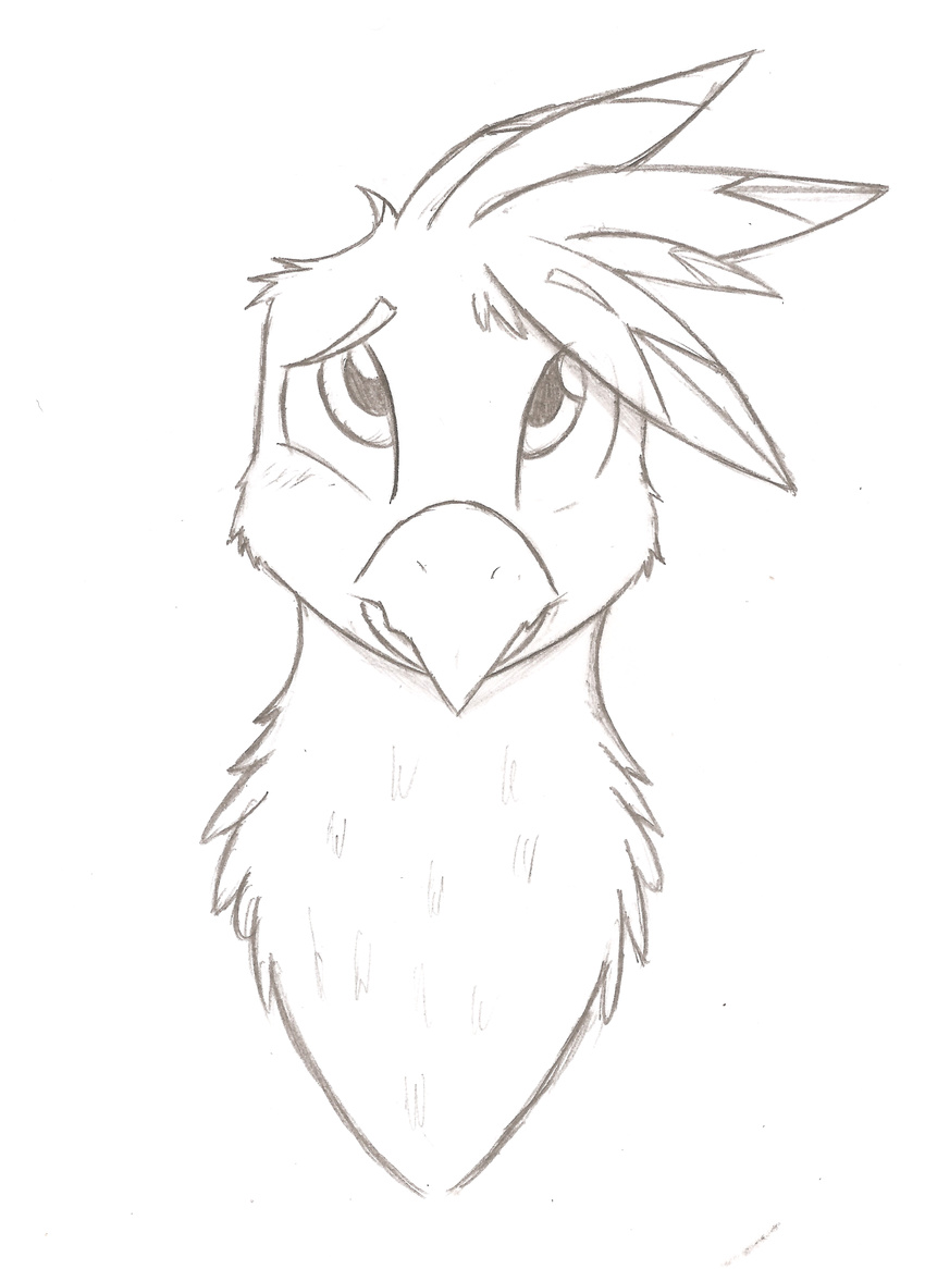 ambiguous_gender avian beak denzeltip feathers feral gryphon looking_at_viewer monochrome solo