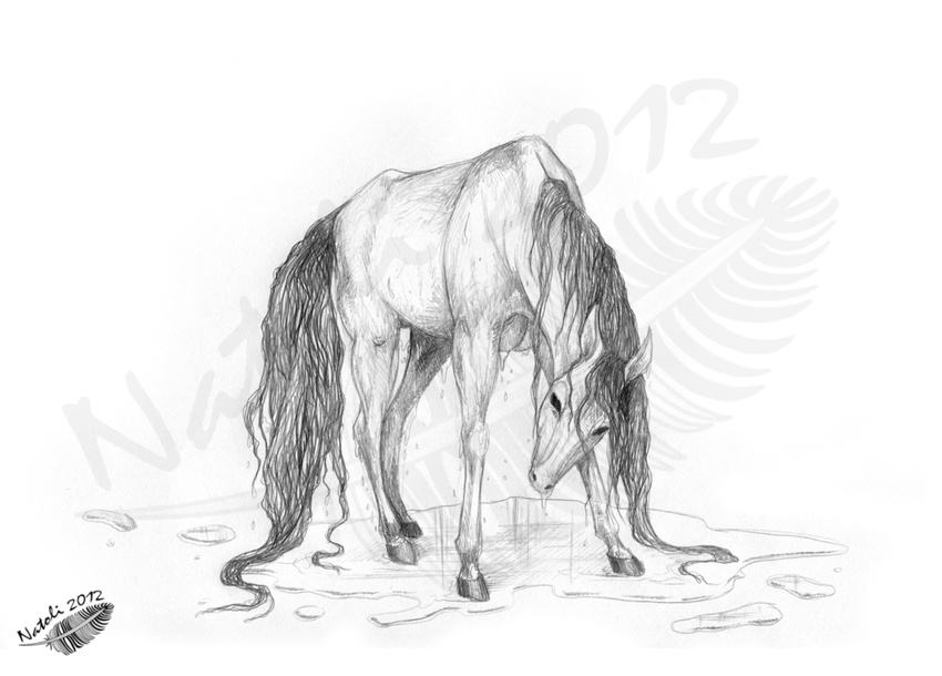 2012 ambiguous_gender equine feral hair hooves horse mammal natoli nude simple_background sketch solo standing traditional_media_(artwork) watermark white_background