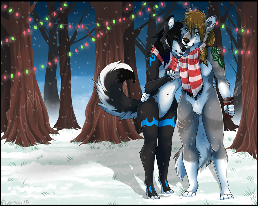 anthro canine compass_(artist) duo female fur hair male mammal outside scarf smile snow standing wolf