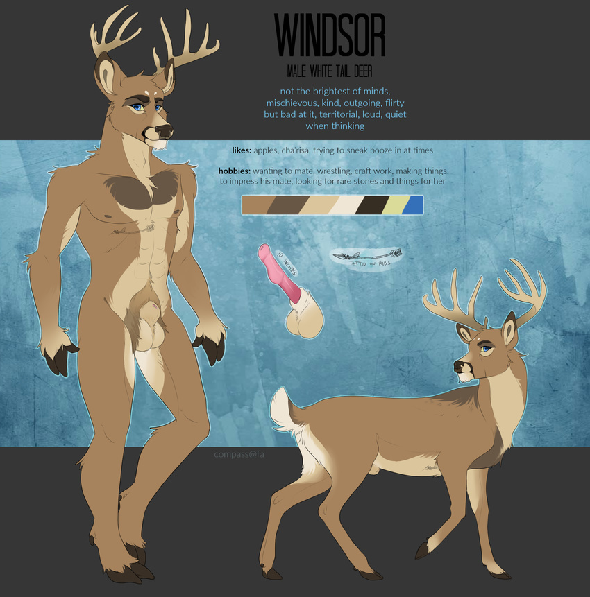 anatomically_correct animal_genitalia anthro balls cervine compass_(artist) deer erection feral looking_at_viewer male mammal model_sheet pubes sheath smile solo