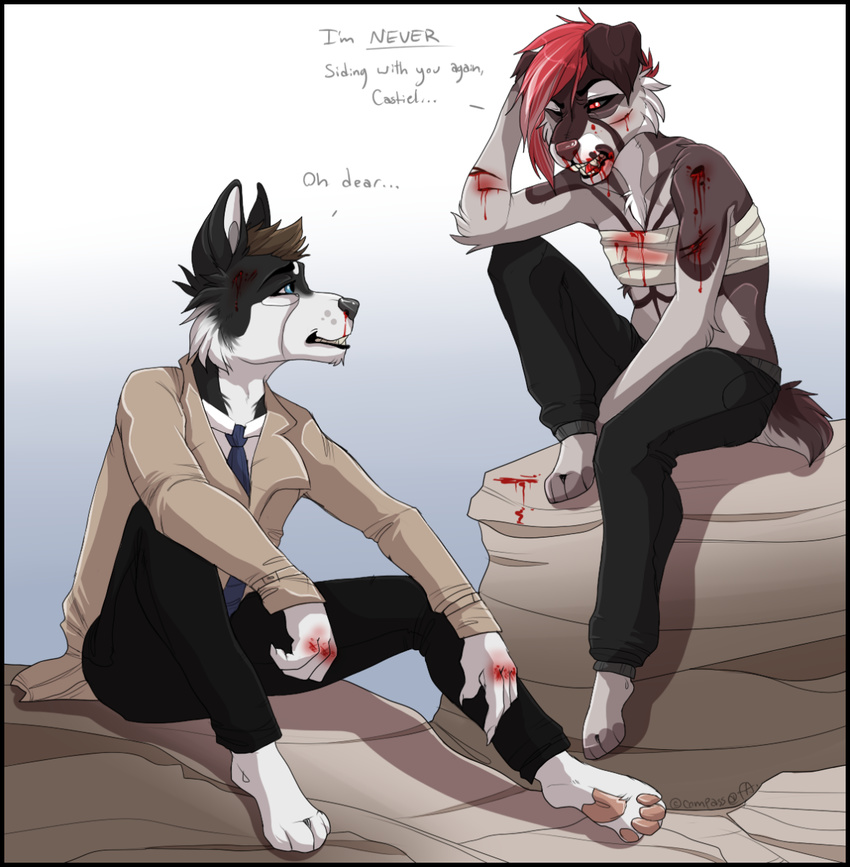 anthro blood canine clothed clothing compass_(artist) duo english_text fur girly hair male mammal sitting text
