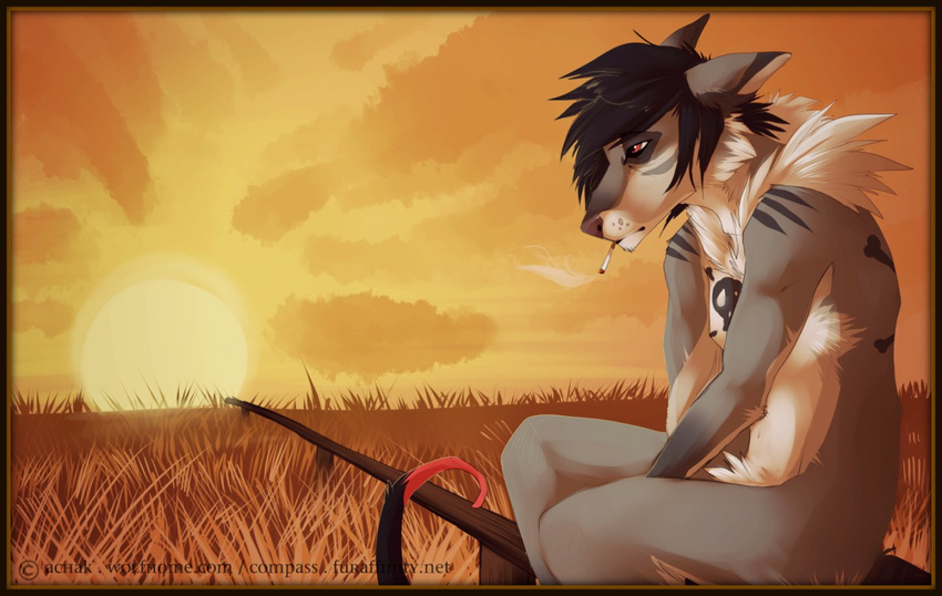 anthro canine cigarette compass_(artist) fur hair male mammal nude outside sitting solo sunset