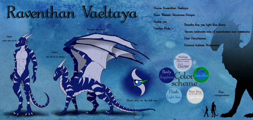 2012 anthro blue_eyes digital_media_(artwork) dragon english_text feral horn membranous_wings model_sheet natoli nude solo standing text wings